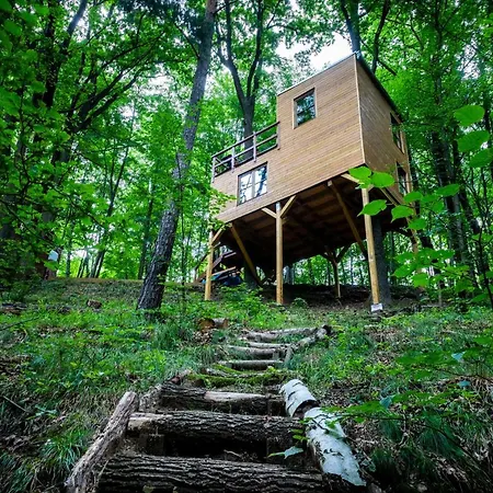 Lodge Treehouse