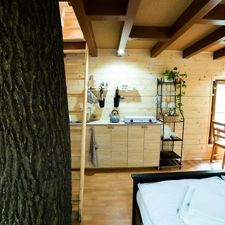 Treehouse *