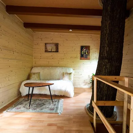 Treehouse Hytte *