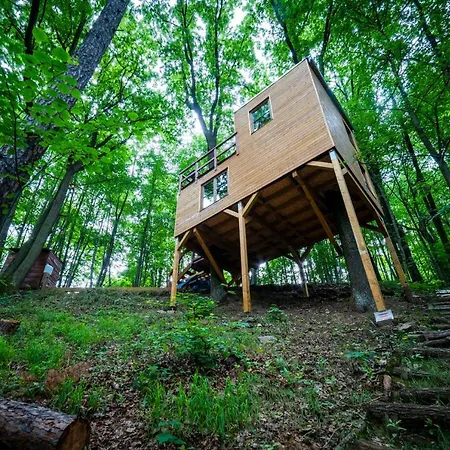 Treehouse Hytte