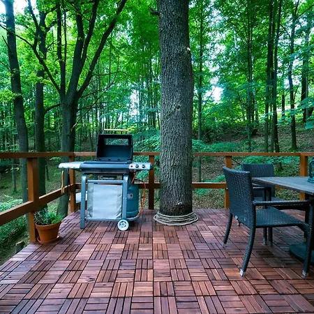 Treehouse * Zlata Koruna