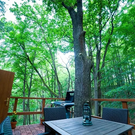 Treehouse * Zlata Koruna