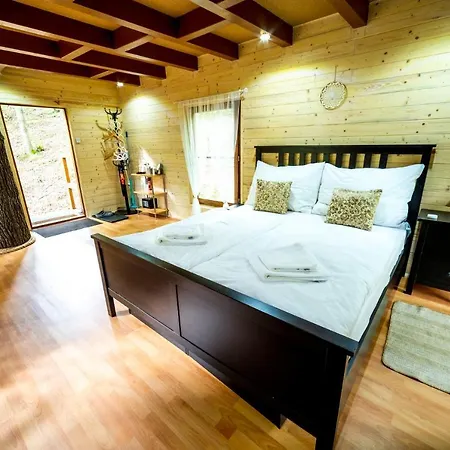 Treehouse *