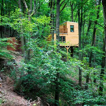 Lodge Treehouse Zlatá Koruna